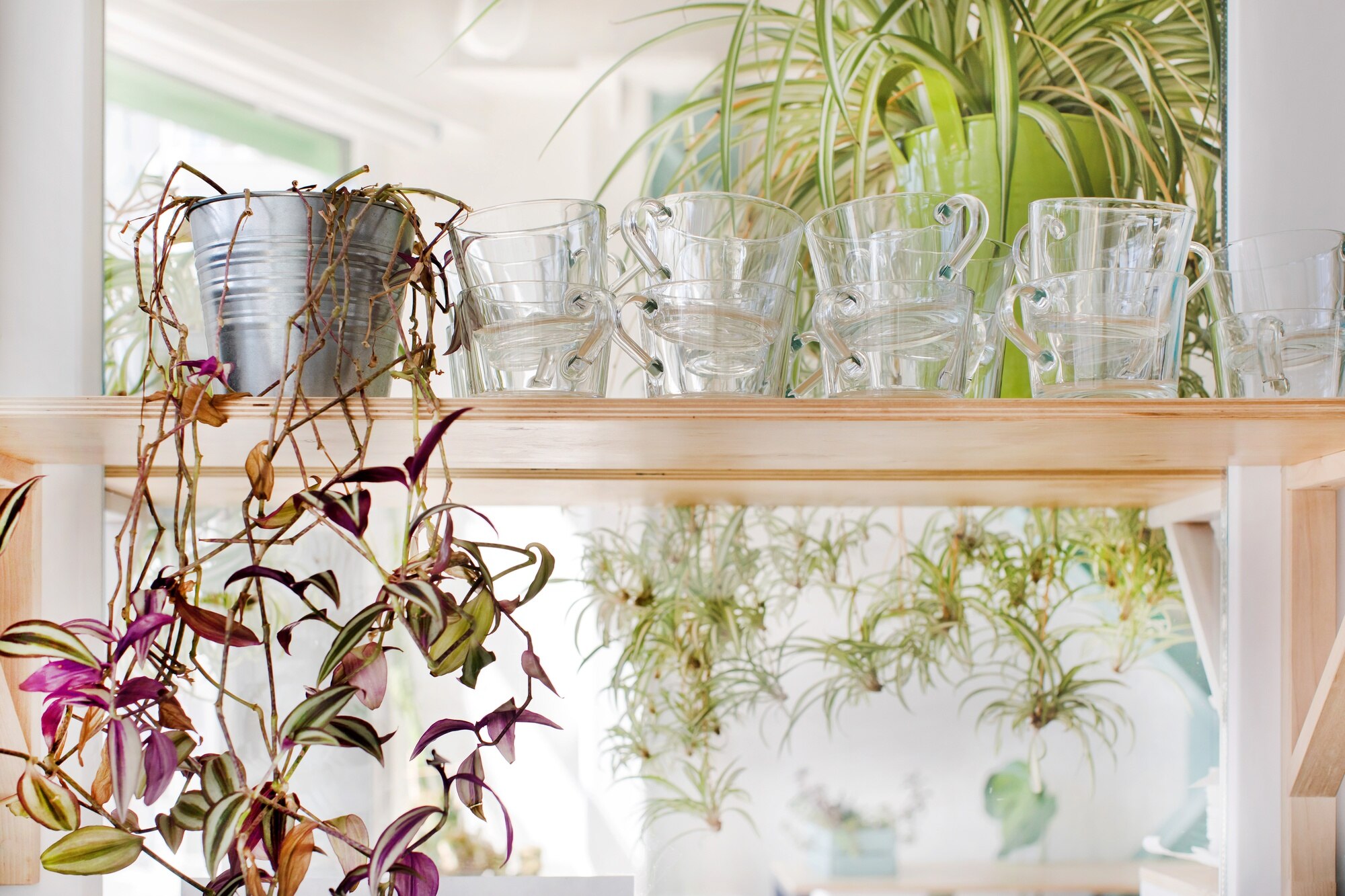 Sustainable POP Displays: Eco-Friendly Materials That Perform in Retail